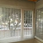 zebra-perdeci-halkali