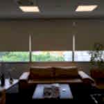 Stor Perde Modelleri