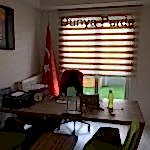 Zebra Perde Modelleri 230